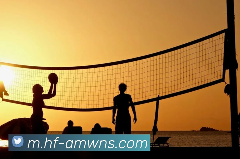 App Interface Preview