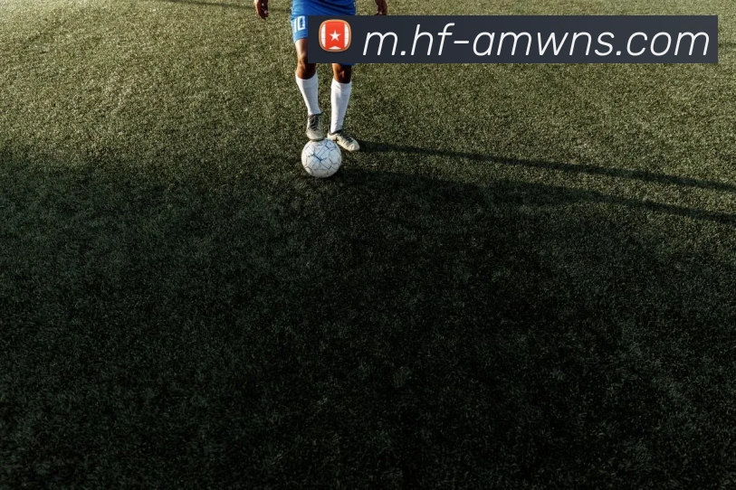 威尼斯人官网APP 封面图